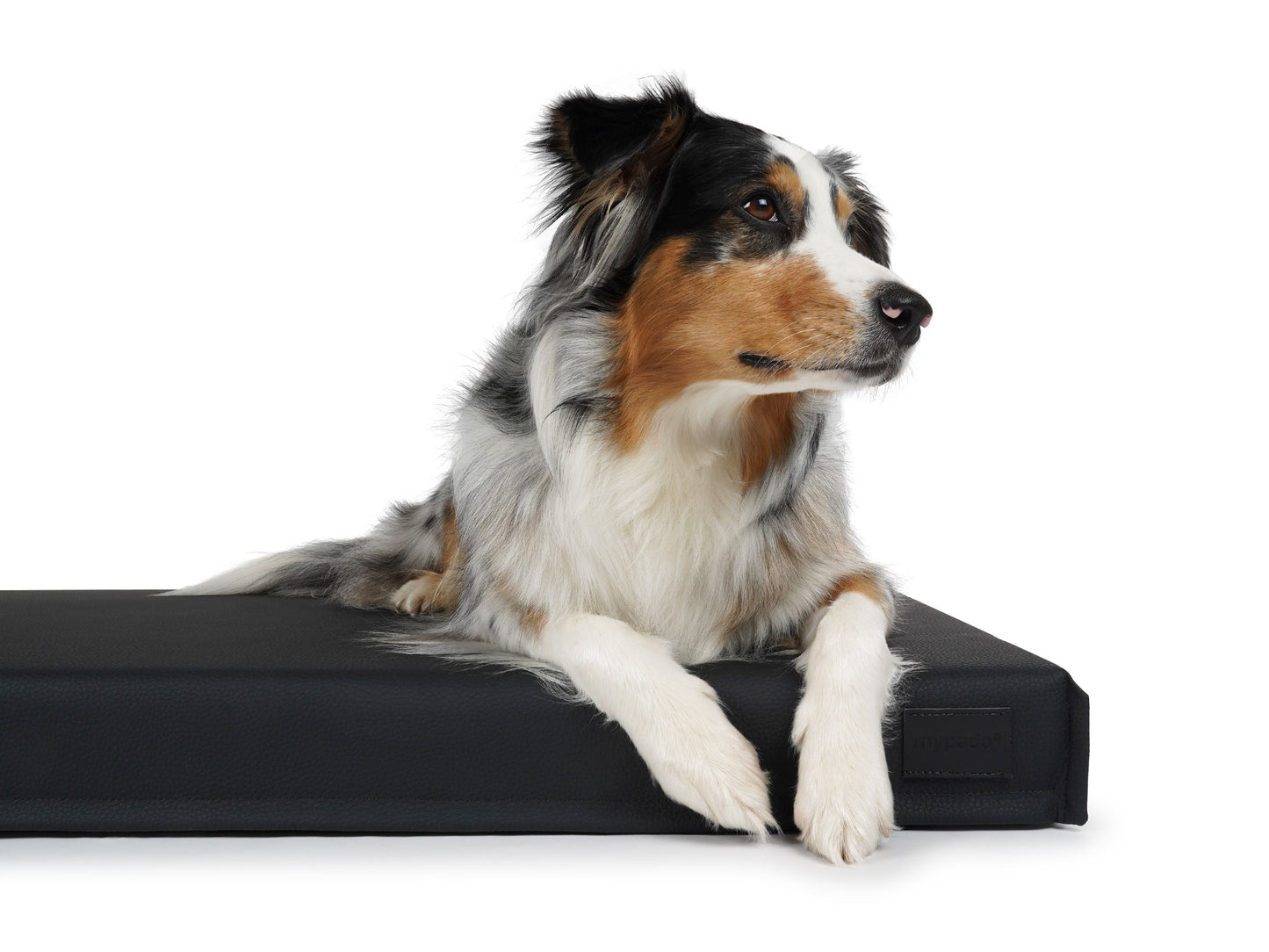 Hundematte Solana Premium