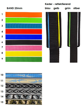 Halsband Safe mit Cobra Schnalle