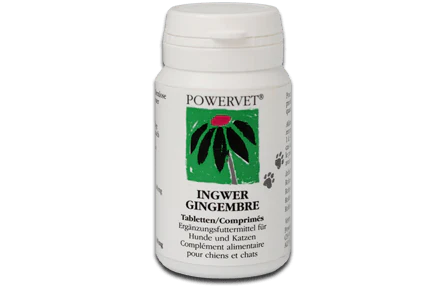 Ingwer