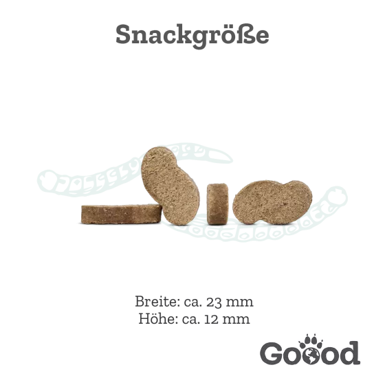 Soft Gooodies - Nachhaltige Insekten