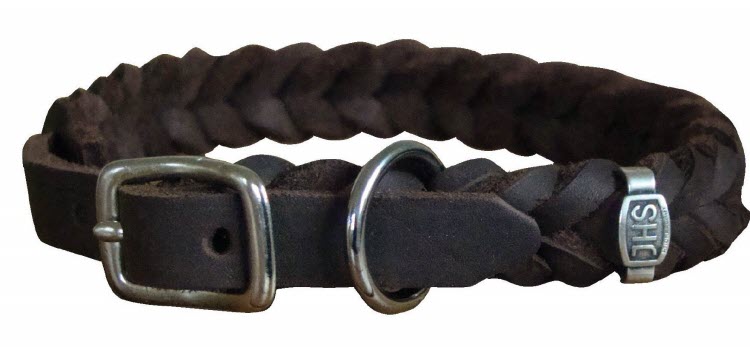 Halsband Fettleder mit Schnalle