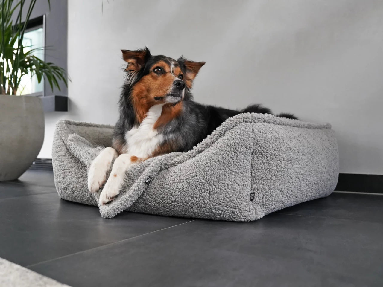 Hundebett Dreamer Woolly