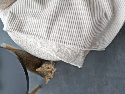 Decke Classic Cord-Woolly XL