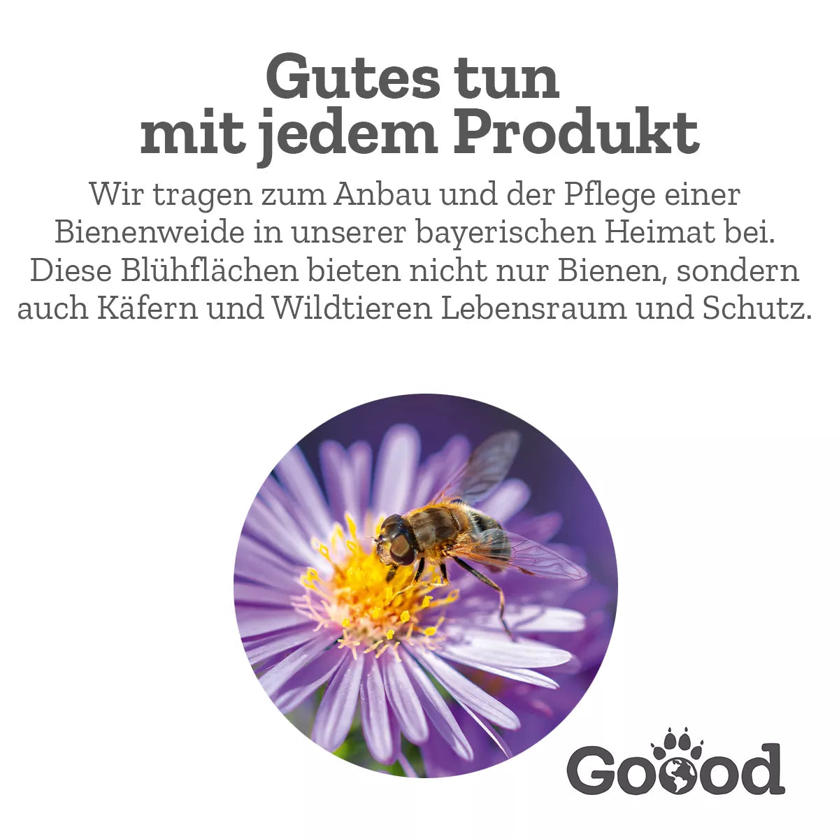Goood Sensitive Adult - Nachhaltige Insekten