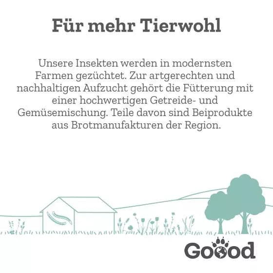 Soft Gooodies - Nachhaltige Insekten