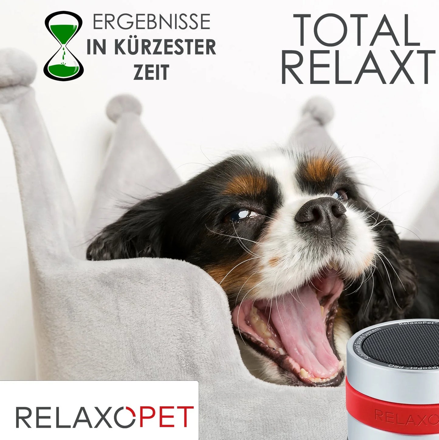 RelaxoPet Pro - Tierentspannungs-Trainer für Hunde