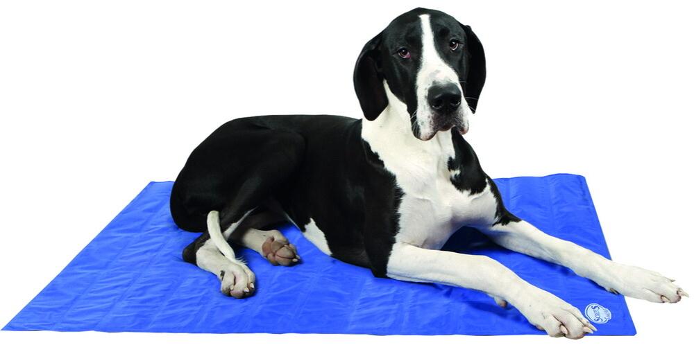 Scruffs Cool Mat