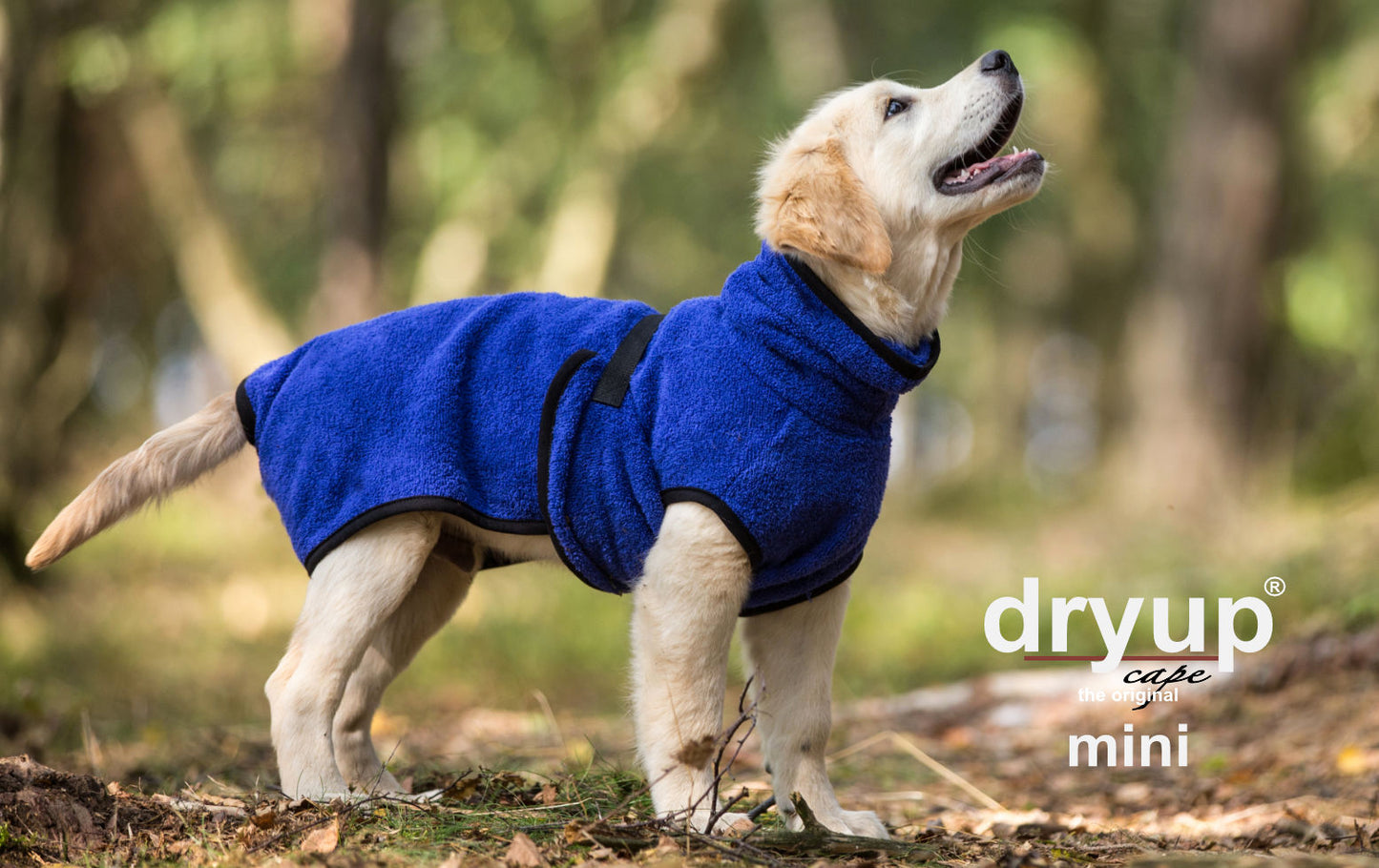 Dryup Cape
