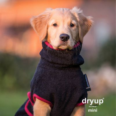 Dryup Cape