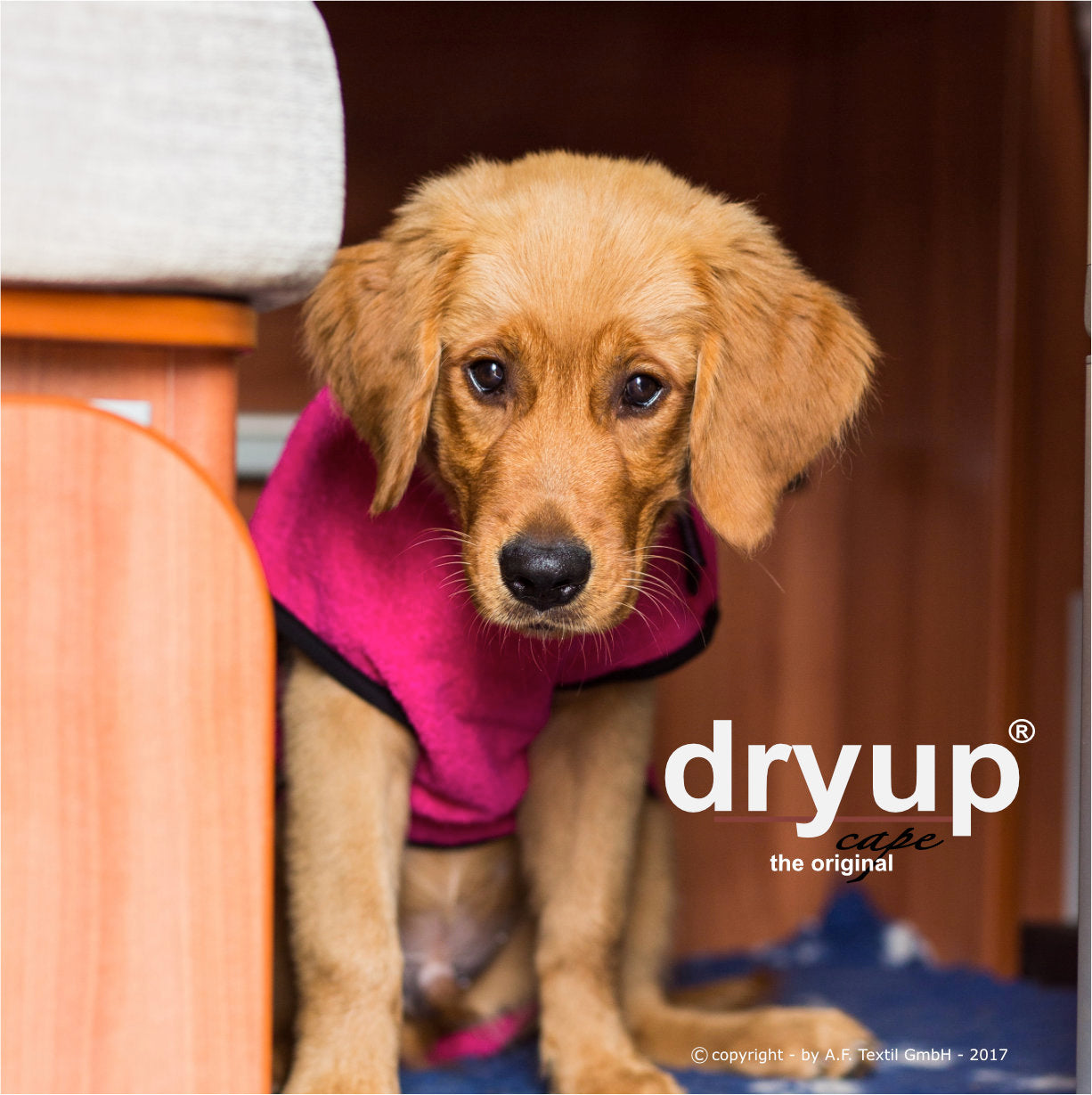 Dryup Cape