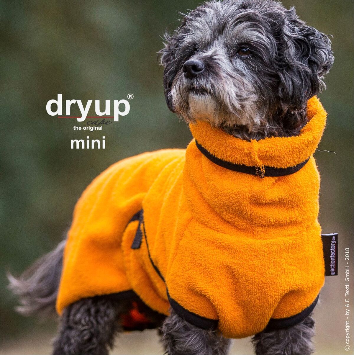 Dryup Cape