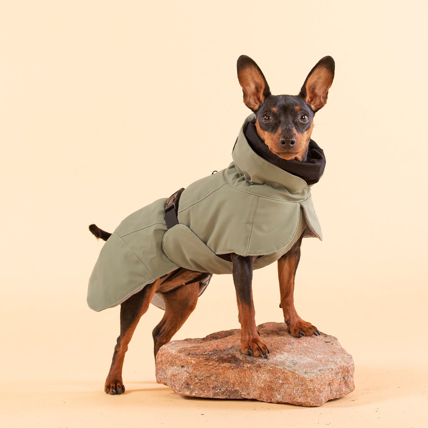 PAIKKA Visibility Winter Jacket