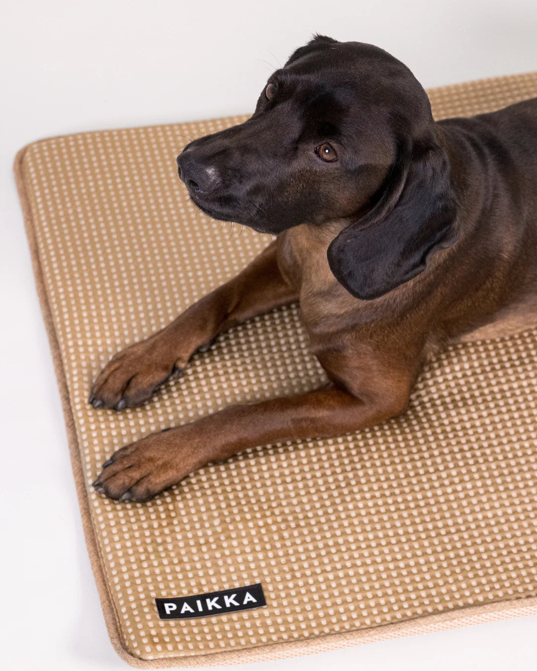 PAIKKA Cooling Blanket Taupe