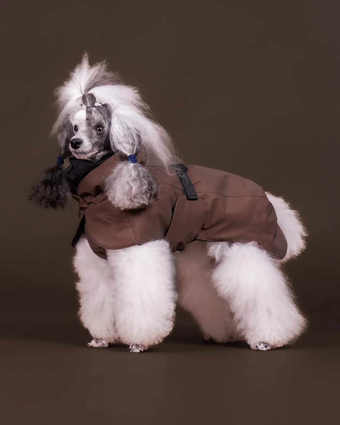 Visibility Hundewintermantel Seawool