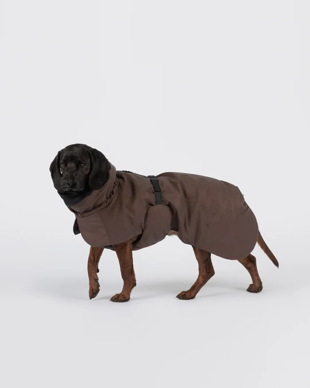 Visibility Hundewintermantel Seawool