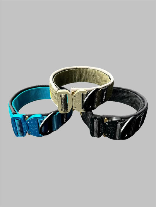 Sporthalsband