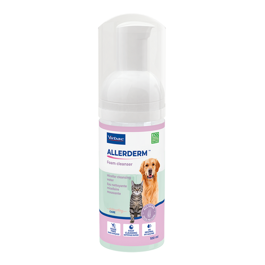 Allerderm Foam Cleanser