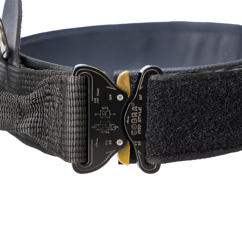 Hetzhalsband Profi