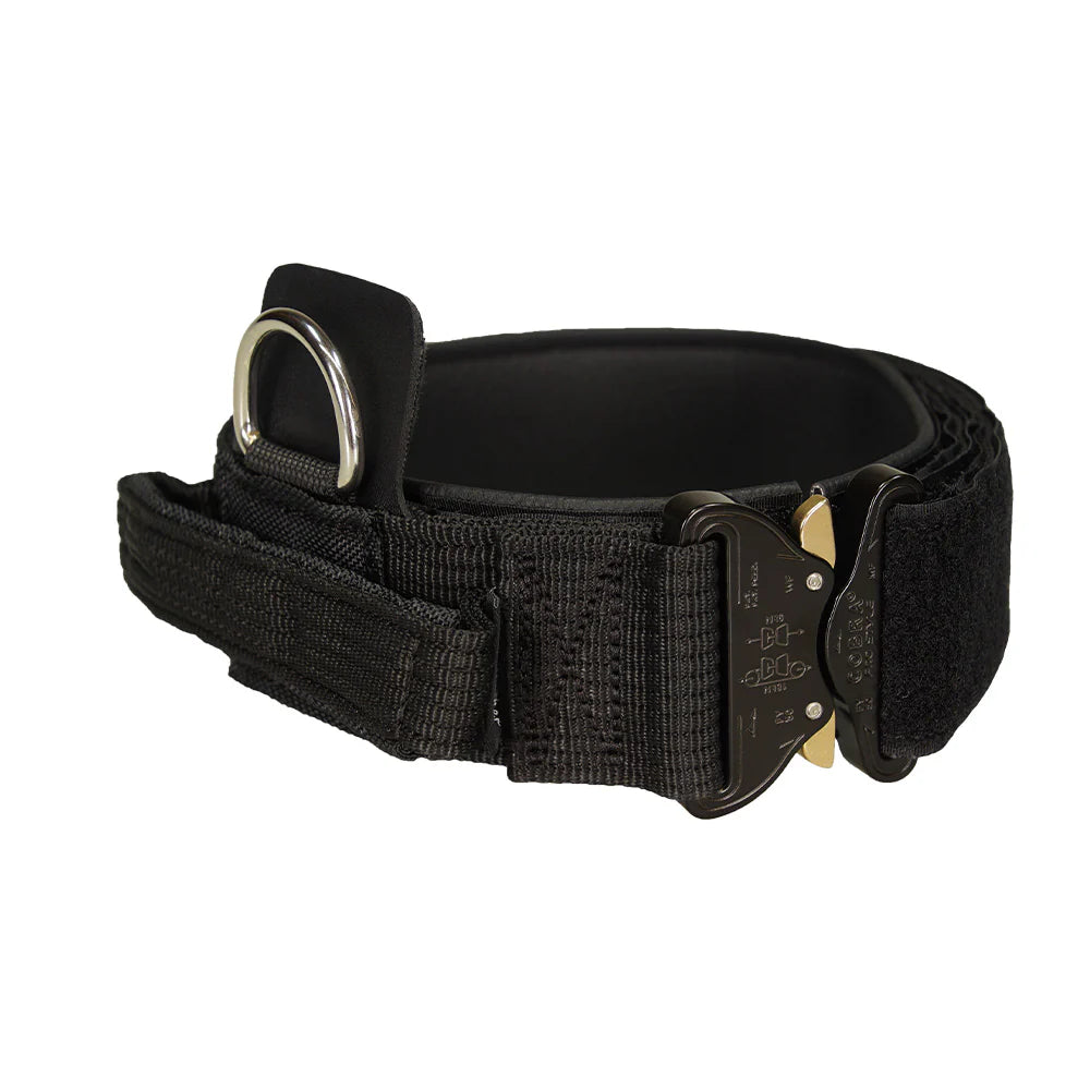 Hetzhalsband Profi