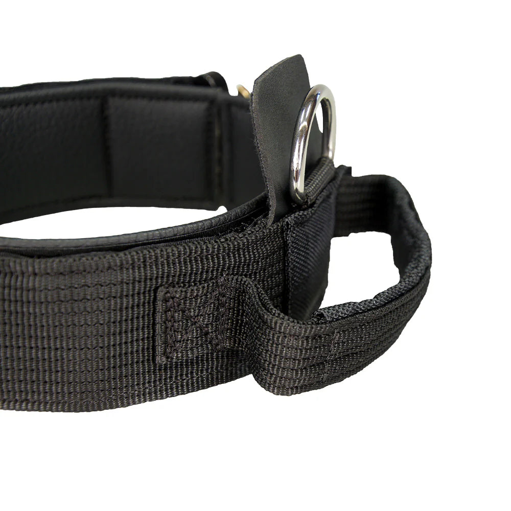 Hetzhalsband Profi