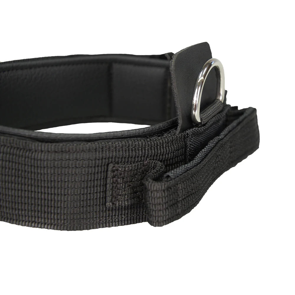 Hetzhalsband Profi