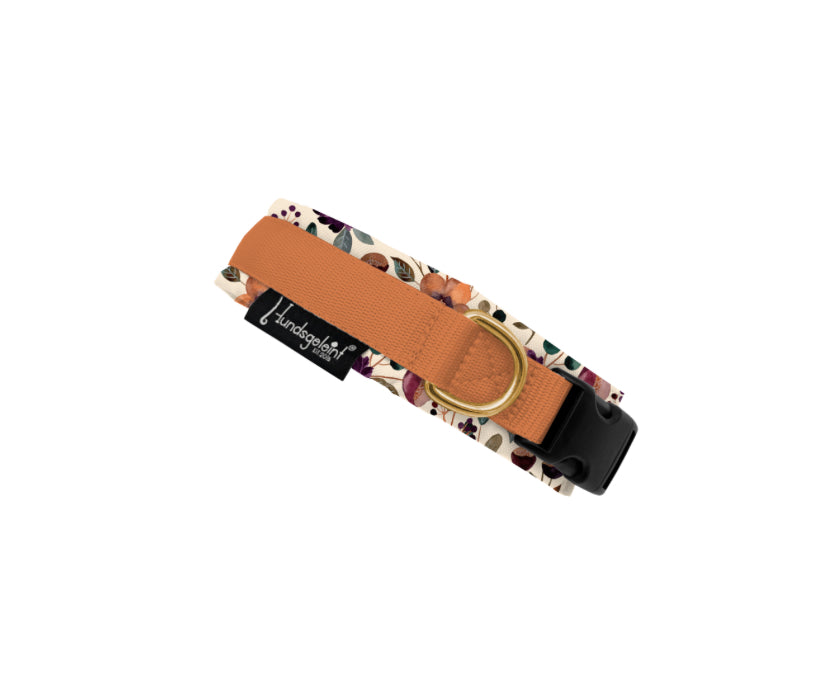 Halsband kupfer mit Schnalle