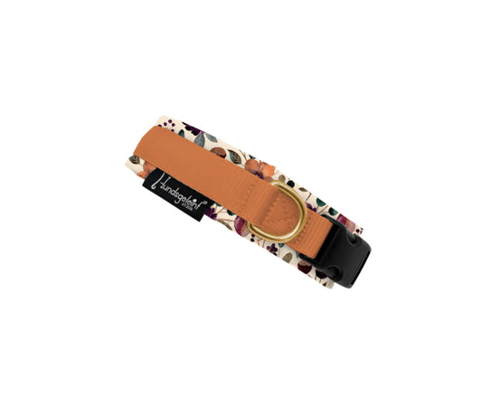 Halsband kupfer mit Schnalle