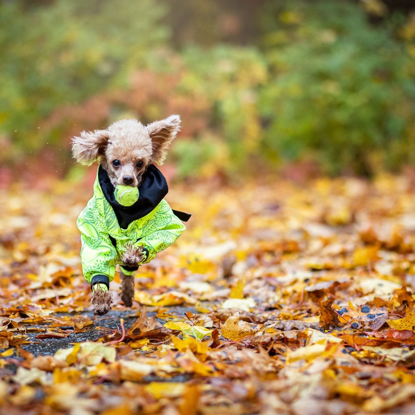 PAIKKA Rain Suit