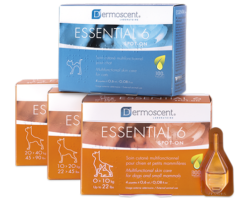 Essential 6® spot-on für Hunde
