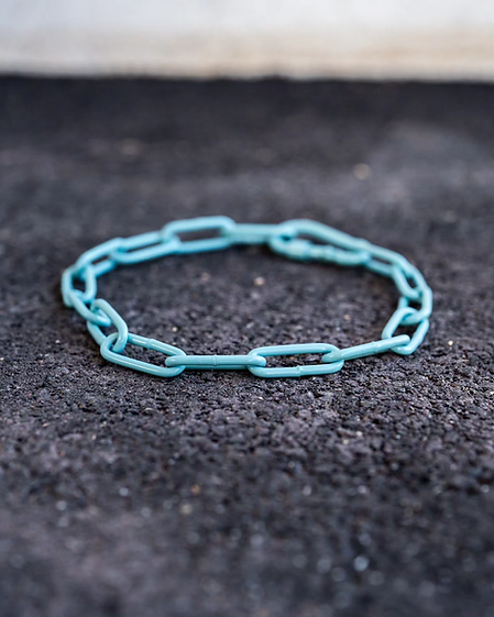 Karabinerkette für Hunde - Langgliedriges Kettenhalsband