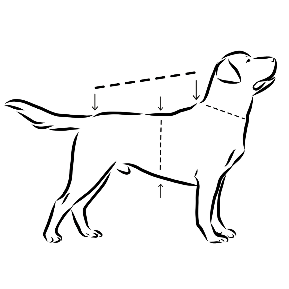 Sherpa Hundeshirt Choco