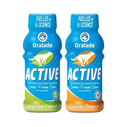 Oralade Active Dog