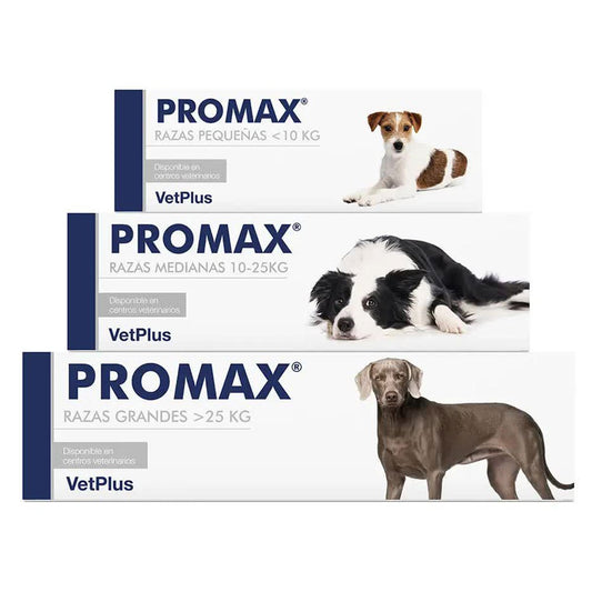 Promax