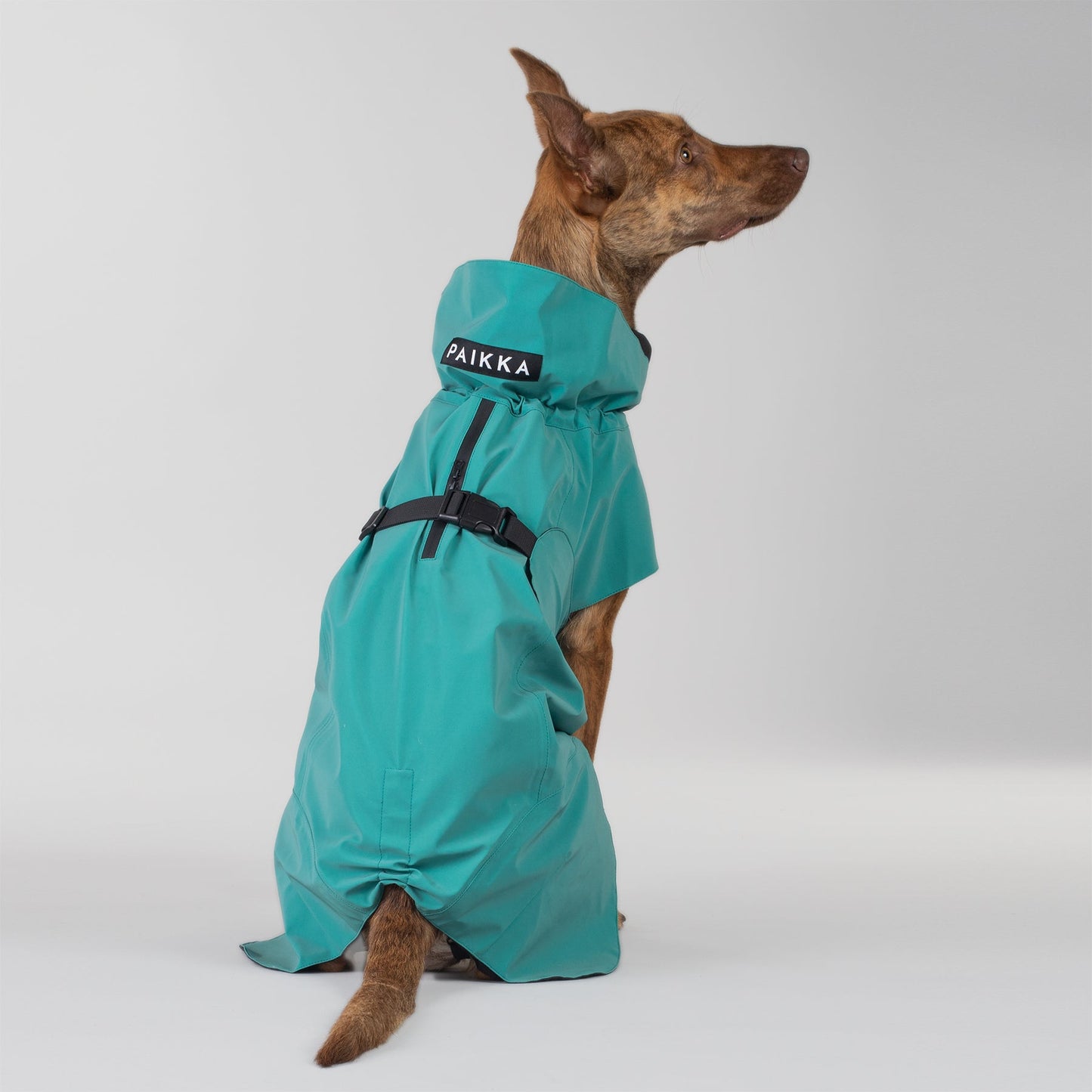 PAIKKA Visibility Raincoat