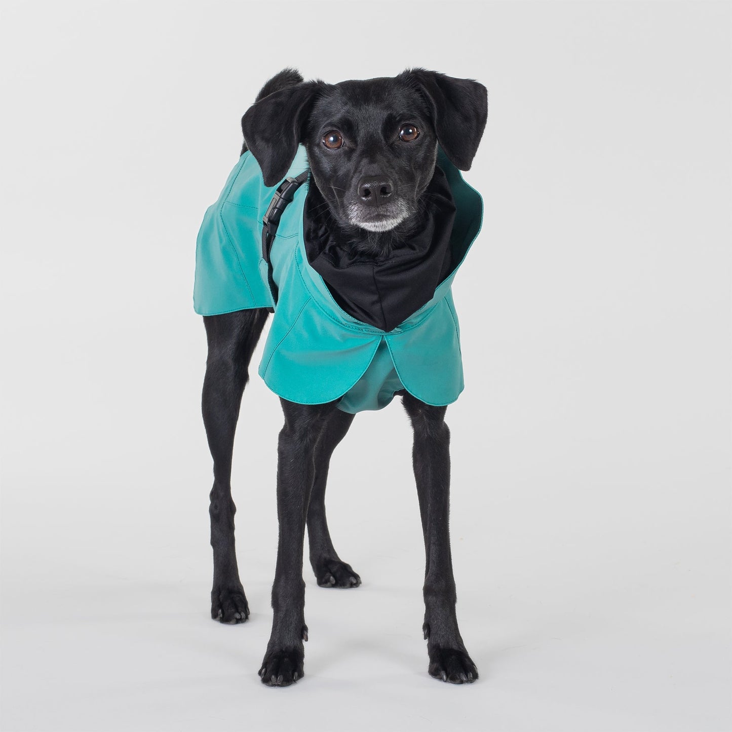 PAIKKA Visibility Raincoat